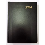 DIARY A4 DAY BY DAY 2022