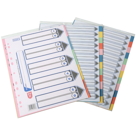 LION PAPER INDEX 20 CLRS TAB