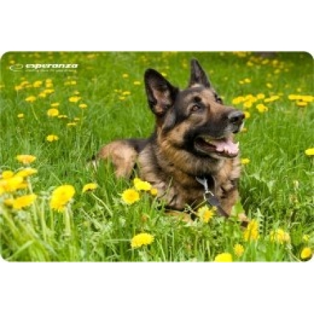 ESPERANZA MOUSE PAD EA-133 FANCY